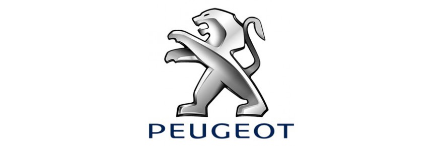 COVER CHIAVE PEUGEOT